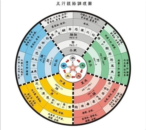 五術是什麼|五术